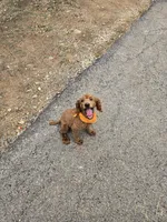 processed/813a71e6-a929-4bea-b644-976c3cdaa48a/facility/dff887be-cc54-43ab-b6bb-e8b3eb9c86a7