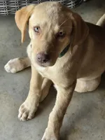 processed/813a71e6-a929-4bea-b644-976c3cdaa48a/facility/faa409a7-4c25-44cc-9ebd-2a79551e4ff8