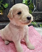 processed/813a71e6-a929-4bea-b644-976c3cdaa48a/listing/542ee0bb-3a66-46ed-a43c-4e2fb64783e8/8462ca88-5b19-484f-9847-658c44e55acd