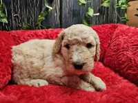 processed/813a71e6-a929-4bea-b644-976c3cdaa48a/listing/d8c97919-40bf-4c6e-a1ac-30b3f1d1339e/16010b81-c27c-421c-925d-61b0a557fea1