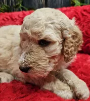 processed/813a71e6-a929-4bea-b644-976c3cdaa48a/listing/d8c97919-40bf-4c6e-a1ac-30b3f1d1339e/378e4148-f88d-41f9-831b-e1b68fcaf333