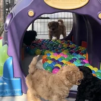 processed/813b5f87-4537-4184-b4e8-87e8355d6e6f/facility/8efa0680-68d7-4ca8-9c1c-8645d77cd1f4