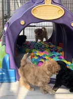 processed/813b5f87-4537-4184-b4e8-87e8355d6e6f/facility/8efa0680-68d7-4ca8-9c1c-8645d77cd1f4