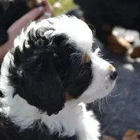 processed/813b5f87-4537-4184-b4e8-87e8355d6e6f/facility/cff7a8ab-a599-4627-9a75-057f83863a3e