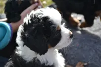 processed/813b5f87-4537-4184-b4e8-87e8355d6e6f/facility/cff7a8ab-a599-4627-9a75-057f83863a3e