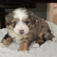 processed/813b5f87-4537-4184-b4e8-87e8355d6e6f/facility/d7c0802d-c1fd-4e17-af5c-2c4fd1f6337b