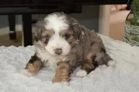 processed/813b5f87-4537-4184-b4e8-87e8355d6e6f/facility/d7c0802d-c1fd-4e17-af5c-2c4fd1f6337b