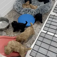 processed/813b5f87-4537-4184-b4e8-87e8355d6e6f/facility/f752c114-35d4-4756-ad06-e1bdcf7b06c8