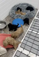 processed/813b5f87-4537-4184-b4e8-87e8355d6e6f/facility/f752c114-35d4-4756-ad06-e1bdcf7b06c8