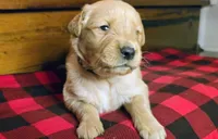 processed/8143b910-fbab-49d6-a156-719f6c0e59c0/listing/153bda0d-d2fc-4aea-a226-7e87f1a5609d/e50eb607-08aa-4a06-ab50-e57b929cd1a5