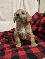 processed/8147e1b7-6ae4-4fc4-8c3b-73f53f94f7e3/listing/1b8f526b-b38e-4c0c-b371-1802acc6349f/6725f299-90bc-4365-becc-5b436d39aac1