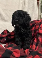 processed/8147e1b7-6ae4-4fc4-8c3b-73f53f94f7e3/listing/2c8ef15c-62c5-4416-be26-e1e6aaad36c3/650b71ed-181c-4165-8041-c90a533e8068