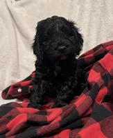 processed/8147e1b7-6ae4-4fc4-8c3b-73f53f94f7e3/listing/2c8ef15c-62c5-4416-be26-e1e6aaad36c3/a12f9a12-28a5-4d62-ad02-93e73383af8e