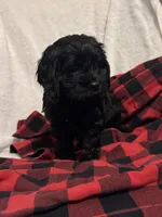 processed/8147e1b7-6ae4-4fc4-8c3b-73f53f94f7e3/listing/5ddb71b3-1d1b-4700-ac00-72aed53813cd/49caef4f-c63f-47d0-952c-15f39e3a7455