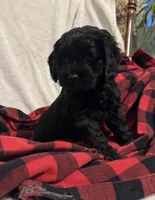 processed/8147e1b7-6ae4-4fc4-8c3b-73f53f94f7e3/listing/5ddb71b3-1d1b-4700-ac00-72aed53813cd/849e9c54-d579-4873-9af0-3e96d4ed7000