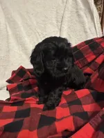 processed/8147e1b7-6ae4-4fc4-8c3b-73f53f94f7e3/listing/5ddb71b3-1d1b-4700-ac00-72aed53813cd/92768d69-e6f3-4145-9fb0-90b95c877ad4