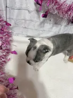 processed/814a0527-6baa-459c-a9c1-03bb162e52f4/listing/863b6d88-4564-4ac8-9601-0b0038012170/6424c336-cf76-4acc-a6a6-7fa9e7e134f2