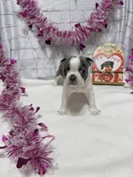 processed/814a0527-6baa-459c-a9c1-03bb162e52f4/listing/863b6d88-4564-4ac8-9601-0b0038012170/a8430de2-4526-46e1-937f-5bb89c04e0c9