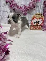 processed/814a0527-6baa-459c-a9c1-03bb162e52f4/listing/863b6d88-4564-4ac8-9601-0b0038012170/d88ce9a5-99bc-415f-92ec-96a203e72cdd