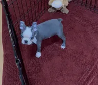 processed/814a0527-6baa-459c-a9c1-03bb162e52f4/listing/d01dbcce-5820-49f1-ab19-33d2d5833cfe/483f68c7-92ea-4260-b8ff-8e7b272d85de