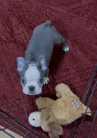 processed/814a0527-6baa-459c-a9c1-03bb162e52f4/listing/d01dbcce-5820-49f1-ab19-33d2d5833cfe/7eb9d6ef-7ca4-4d2e-82d5-b16938b5ffa8