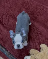 processed/814a0527-6baa-459c-a9c1-03bb162e52f4/listing/d01dbcce-5820-49f1-ab19-33d2d5833cfe/dacd8343-7206-461b-b885-129ca6433550