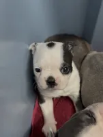 processed/814a0527-6baa-459c-a9c1-03bb162e52f4/listing/e34640ef-2228-40da-a3cd-5fa1894ea8b6/e9f0dd62-2bd8-4825-a31d-66e4bab49e04