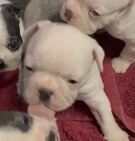 processed/814a0527-6baa-459c-a9c1-03bb162e52f4/listing/e3bea5f3-15dc-4daa-a925-e57f60f1ae80/2c5901d8-b7c6-4b8a-b90d-49c4a1cba54e