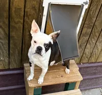 processed/814a0527-6baa-459c-a9c1-03bb162e52f4/listing/e3bea5f3-15dc-4daa-a925-e57f60f1ae80/7e9b02bb-7f87-4a16-aa44-e241bf756736