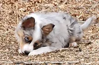 processed/8150fcbe-78da-43db-8dfe-5a7f1409f32d/listing/0ca7bfb6-7b80-42e5-9b31-9bae2c2a6b8f/0dcdf218-944f-4f11-beea-1bdce9fb7596