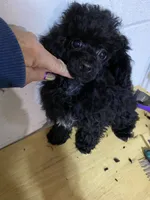 processed/815636d9-95d6-496b-9062-3272ba0ce55c/listing/9291be2b-59bb-4015-85c9-2fb5990a0dcb/80e16417-f5c2-448b-abac-a4acbe0c0b7d