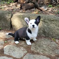 processed/815da3a1-1b47-4c78-9c4b-5c3d335c4d50/facility/31aaf563-abf9-49d8-92da-31f6fe2d1202