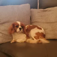 processed/815da3a1-1b47-4c78-9c4b-5c3d335c4d50/facility/a4d5c0ff-bb1a-4c20-ba4d-47c40e64917f