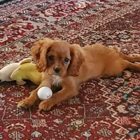 processed/815da3a1-1b47-4c78-9c4b-5c3d335c4d50/facility/d3433128-c44b-4a37-b231-862b04c2fb04