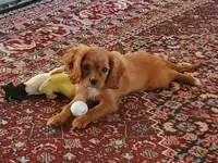 processed/815da3a1-1b47-4c78-9c4b-5c3d335c4d50/facility/d3433128-c44b-4a37-b231-862b04c2fb04