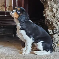 processed/815da3a1-1b47-4c78-9c4b-5c3d335c4d50/facility/e14f6d0e-5adc-404a-a2da-f3477d002293