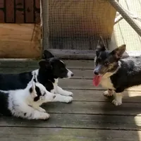 processed/815da3a1-1b47-4c78-9c4b-5c3d335c4d50/facility/e1f156ea-51e5-4d27-b3f6-103d8a09bc6d