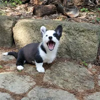 processed/815da3a1-1b47-4c78-9c4b-5c3d335c4d50/facility/e9c196f5-8b8c-4ea4-aa13-911b93099764