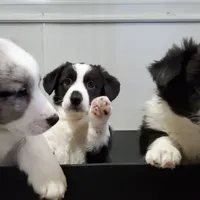 processed/815da3a1-1b47-4c78-9c4b-5c3d335c4d50/facility/f2e19a4a-87ec-4dab-b197-bae04d7a9ec3