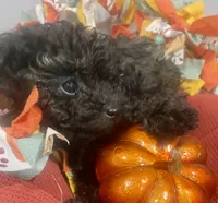 processed/815f9100-e48b-4896-9611-b9d7f53ddd3c/listing/3e5aa5ce-ffd8-406c-8357-89d479bda148/28375148-f402-4e2a-827f-472bd5019e37