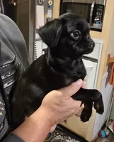 processed/8160114d-15c2-49f2-9daf-b1287dceb72e/listing/b7ebca83-8c91-47be-98fb-c70c057cab4a/12dc6c0e-62b7-459d-9869-5b4daeba1521