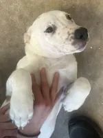 processed/817508c2-cf29-4589-8dbb-2180194b8f96/listing/420b0ba6-a684-4691-b653-ecd7795e0446/a1a65f12-6eb6-4901-94ec-6211177c42db