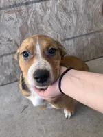 processed/817508c2-cf29-4589-8dbb-2180194b8f96/listing/9847739b-4146-4932-b9ec-c156416a6df8/36b2733b-1db3-4f4e-9d74-891ee020401f