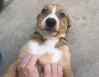 processed/817508c2-cf29-4589-8dbb-2180194b8f96/listing/9847739b-4146-4932-b9ec-c156416a6df8/60ba63f2-b69e-441a-aa63-8e95a15d6501