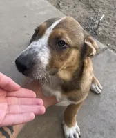 processed/817508c2-cf29-4589-8dbb-2180194b8f96/listing/a165d3f1-14d5-49c4-a8b0-0c0490c7d6ac/39813ab4-b6bc-4422-8d34-b8f6bd8370f8