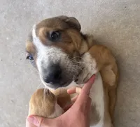 processed/817508c2-cf29-4589-8dbb-2180194b8f96/listing/a165d3f1-14d5-49c4-a8b0-0c0490c7d6ac/c5d62c9d-0f57-4a62-bd59-8d3bfc6cc5ba