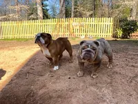 processed/817535cd-209d-4dac-b6c6-4a0228cc0e9a/facility/4b5a628b-1fc2-4655-aafe-eed455f3b144