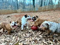 processed/817535cd-209d-4dac-b6c6-4a0228cc0e9a/facility/4db6e3bc-6e2c-4b63-aa21-90388daa4a13