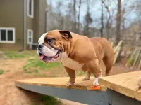 processed/817535cd-209d-4dac-b6c6-4a0228cc0e9a/facility/5486c4c5-fe1e-4f89-ba6a-79f362c0ceaa