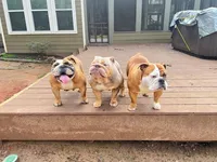 processed/817535cd-209d-4dac-b6c6-4a0228cc0e9a/facility/673a3643-195a-44cc-81ee-c6524769cc08